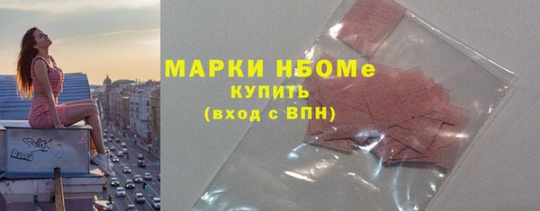 PSILOCYBIN Бородино