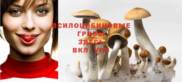 PSILOCYBIN Бородино