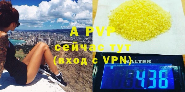 PSILOCYBIN Бородино