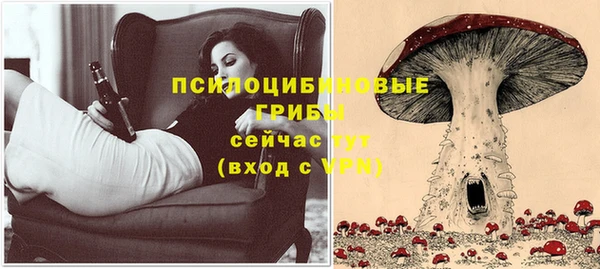ГАЛЛЮЦИНОГЕННЫЕ ГРИБЫ Верхнеуральск