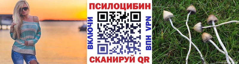 Галлюциногенные грибы Magic Shrooms  Купить  Осташков 